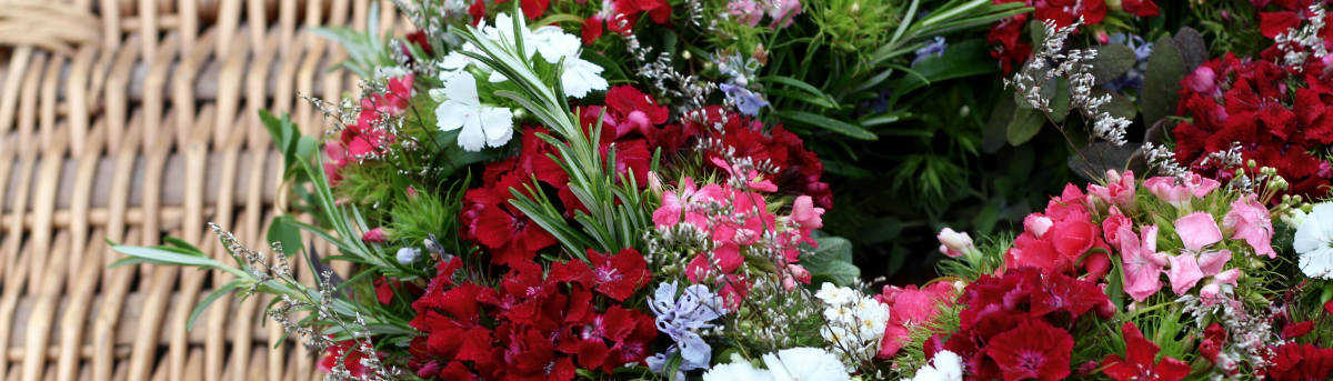 TUCKSHOP FLOWERS