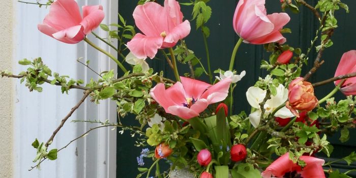 Tuliptastic